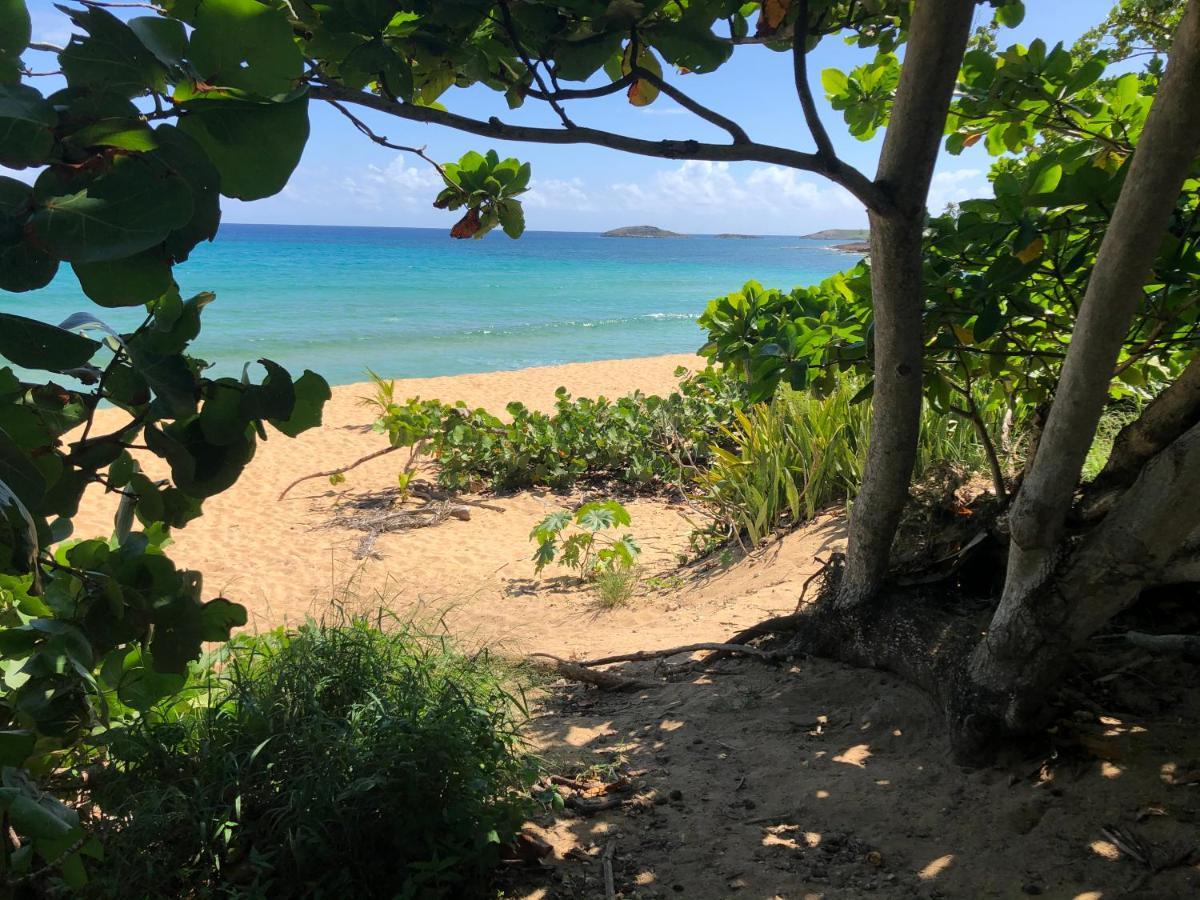 Las Olas Beach Apartments Arecibo Bagian luar foto
