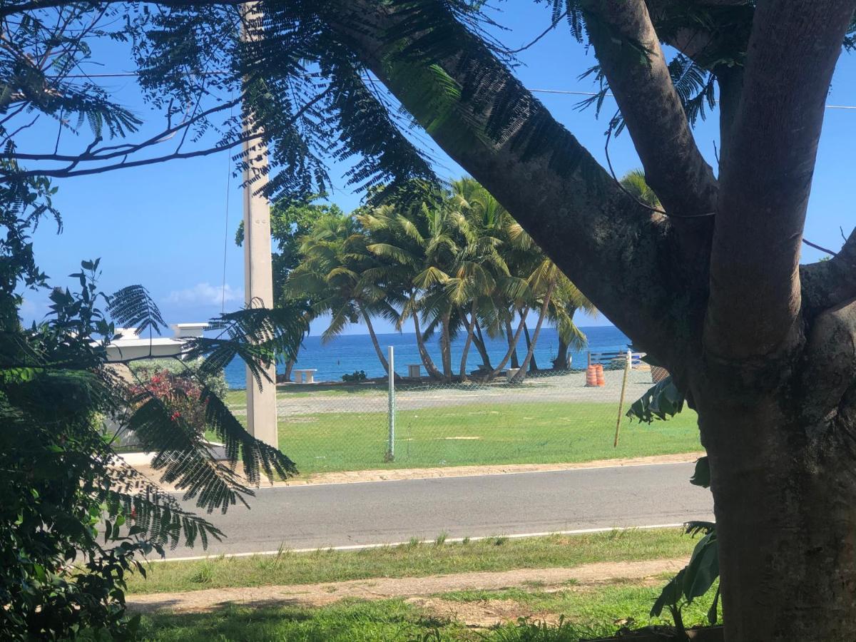 Las Olas Beach Apartments Arecibo Bagian luar foto
